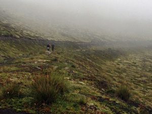 Trekking desde Antillanca al Lago Rupanco